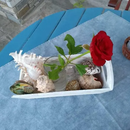 Vakantiehuis Little Paradise In Front Of The Sea *