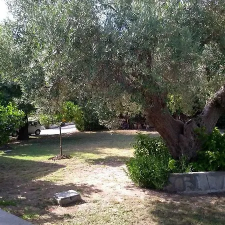 Vakantiehuis Little Paradise In Front Of The Sea